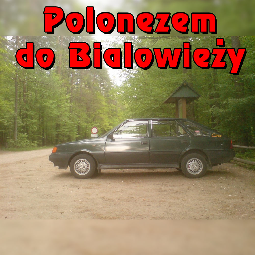 Polonezem do Białowieży, czyli wpadajcie na Podlasie