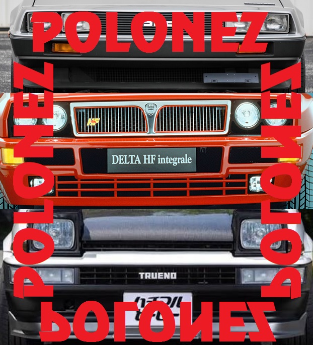 Top 20 Polonezów z całego świata